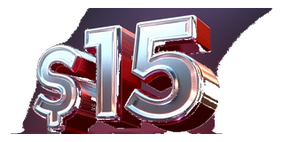 s15 logo